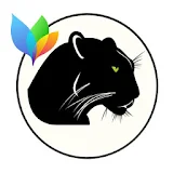 Theme XperiaCan -Black Panther icon