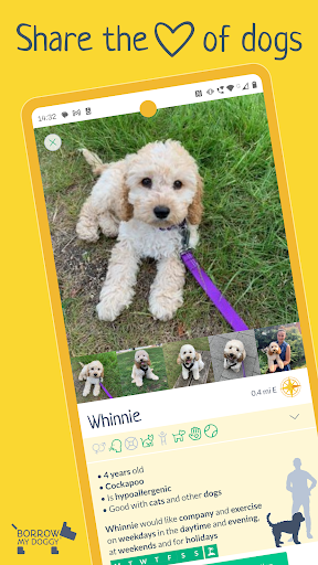 Android application BorrowMyDoggy screenshort