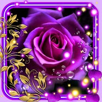 Фиолетовые Pозы Живые Обои