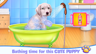 Labrador Puppy Day Care - Screenshot 2