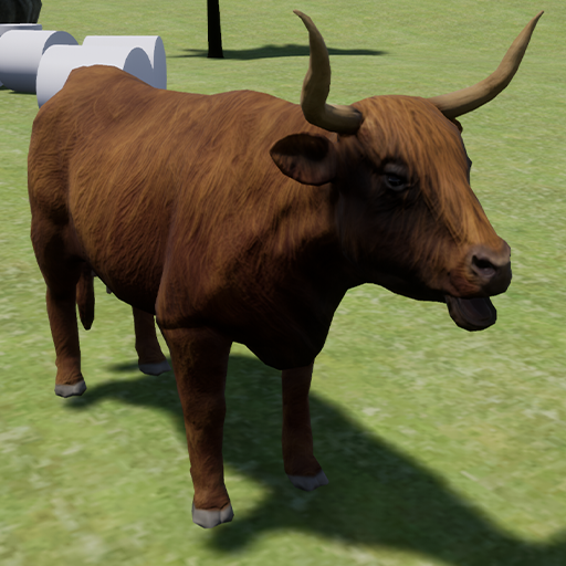 Highland cattle Simulator