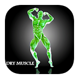 fitness trainer : dry muscle icon
