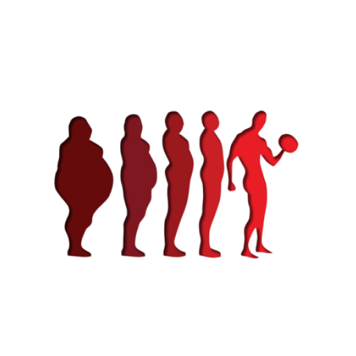 My Evolution Fitness logo