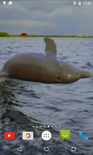 Logo https://play-lh.googleusercontent.com/uMTvDAAJX7ml7TdTXWFs6OAHPERgTH61e3KUNZCHY0uEEEZPW-_RzA0CL_6z5PwQThY