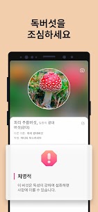 Picture Mushroom – 버섯을 인식 (PREMIUM) 2.9.22 3