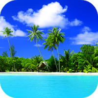 Beach Video Live Wallpaper Gallery