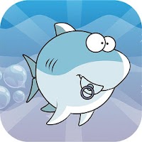 Color Shark : Ceylin-H