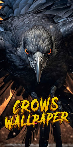 Android application crow wallpaper screenshort