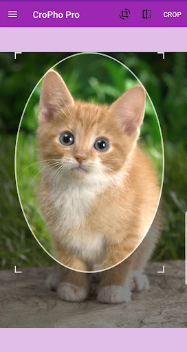 CroPho Pro - Crop Photo Screen 3