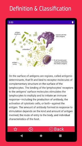 Immunology Screen 2