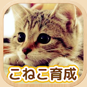 ねこ育成ゲーム - 子猫をのんびり育てる癒しの猫育成ゲーム  for PC Windows and Mac