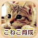 ねこ育成ゲーム - 子猫をのんびり育てる癒しの猫育成ゲーム - Androidアプリ