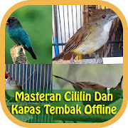 Masteran Cililin dan Kapas Tembak Mp3