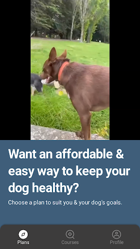 Android application Canine Conditioning screenshort