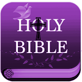 Twi Holy Bible icon