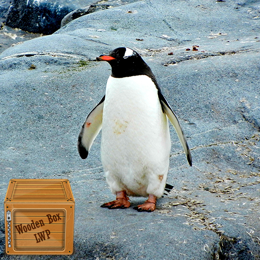 penguin backgrounds logo