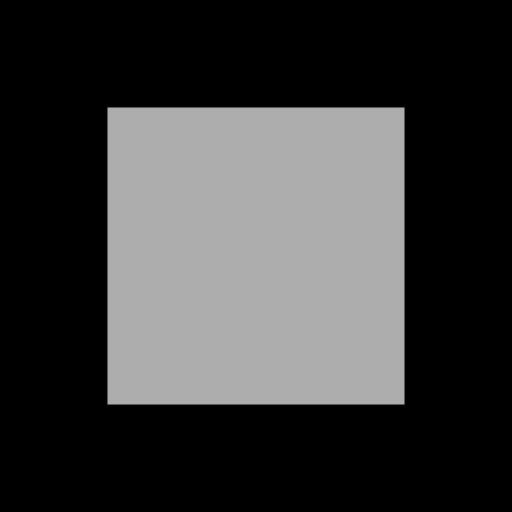 Mini Mirror logo