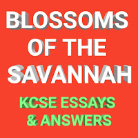 Blosom of Savanna essay answer