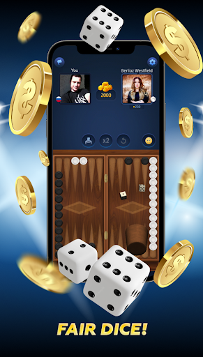 PPNards: Backgammon board game Screen 2
