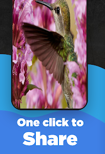 Hummingbirds HD Wallpaper