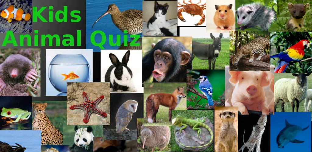 Квиз животные. Animal Quiz. Quiz about animals. Animals Quiz for Kids.