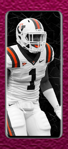 Virginia Tech football fans