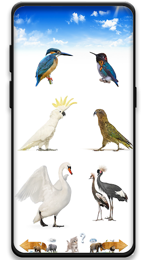 Animal Sounds PRO Screen 2