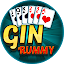 Gin Rummy Offline