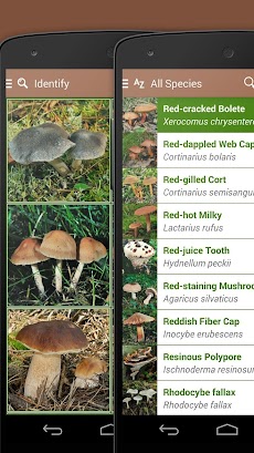 iKnow Mushrooms 2 PROのおすすめ画像4