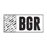 BGR - The Burger Joint icon