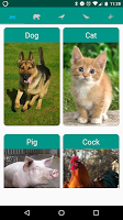 screenshot of Animal sounds. Learn and play.