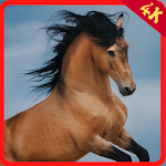 Cover Image of Unduh Horse Wallpaper HD  APK