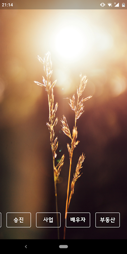미래를 위한 기도