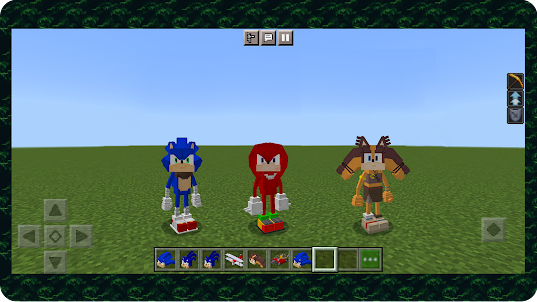 Sonic Minecraft