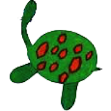 Turtle Cove icon