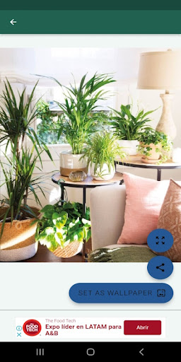 Diseño de jardines Screen 2