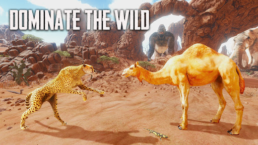 The Camel - Animal Simulator Screen 2