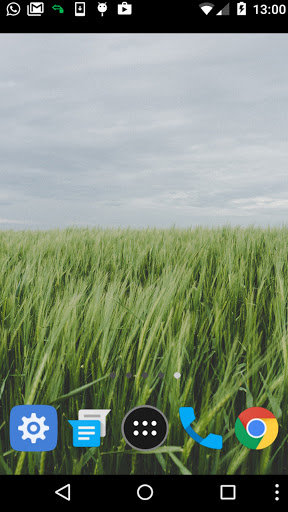 rice field wallpaper Screen 2