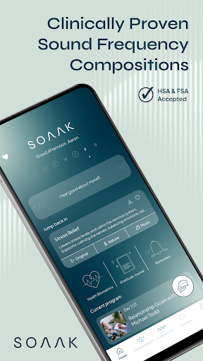 Screenshot of Soaak
