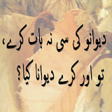 Udas Urdu Shairi icon