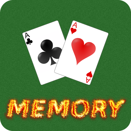 Memory Cards  Icon