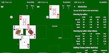 Euchre Master II APK