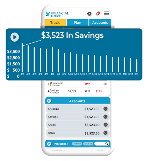 Financial Hope : Budget & Save Screen 3