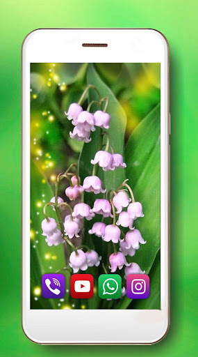 Lilies Valley Forest Live Wallpaper