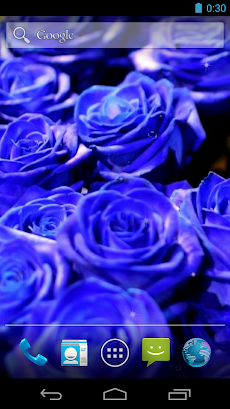 Blue Rose Live Wallpaperのおすすめ画像4