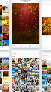 iGallery OS 12 - Phone X Style (Photo Filter) 7.0 APK screenshots 7