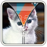 Kitty Cat Zipper UnLock icon