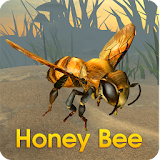 Honey Bee Simulator icon