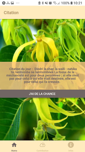 Citation mahoraise Screen 3