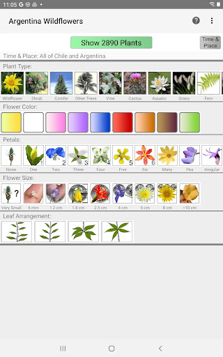 Argentina Wildflowers screenshot 7